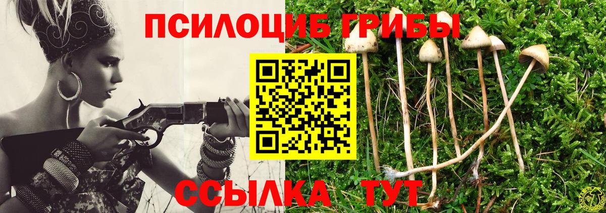 Галлюциногенные грибы Psilocybine cubensis Верхняя Салда